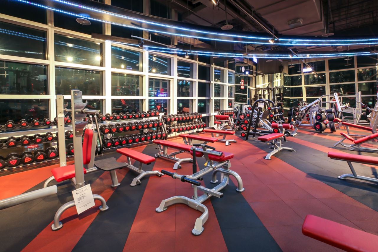 World Gym101店自由重量訓練區